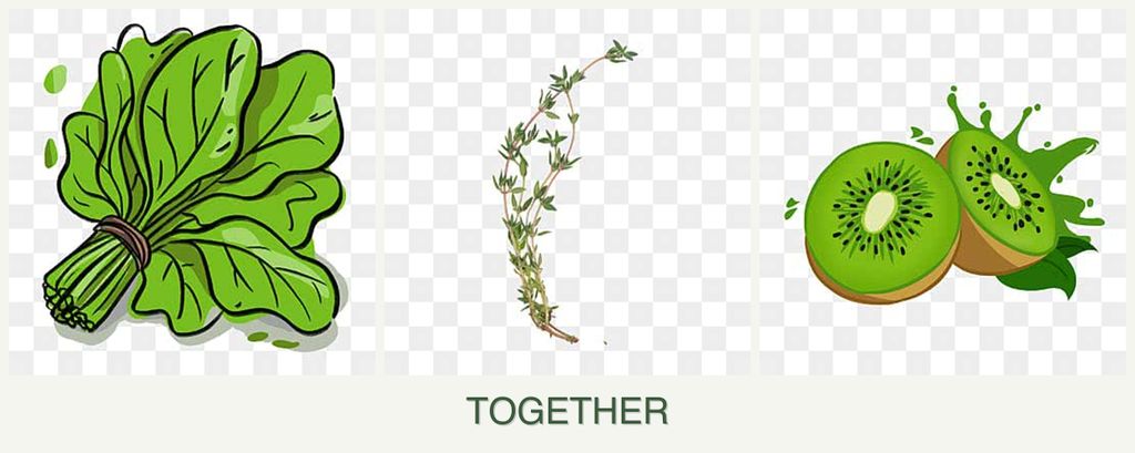 Can you plant spinach, thyme and kiwi together?