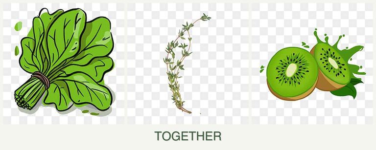Can you plant spinach, thyme and kiwi together?