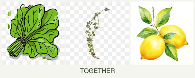 Can you plant spinach, thyme and lemons together?