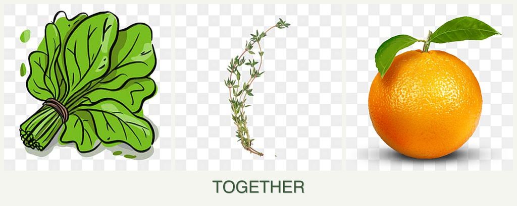 Can you plant spinach, thyme and oranges together?