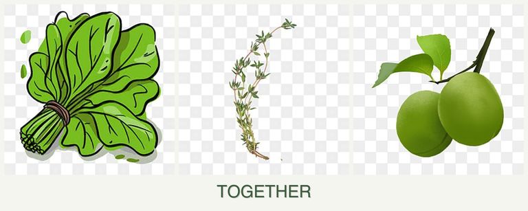 Can you plant spinach, thyme and plums together?