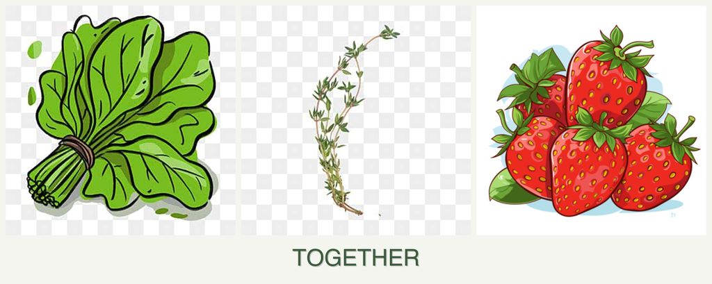 Can you plant spinach, thyme and strawberries together?