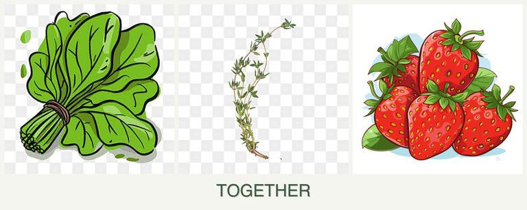 Can you plant spinach, thyme and strawberries together?