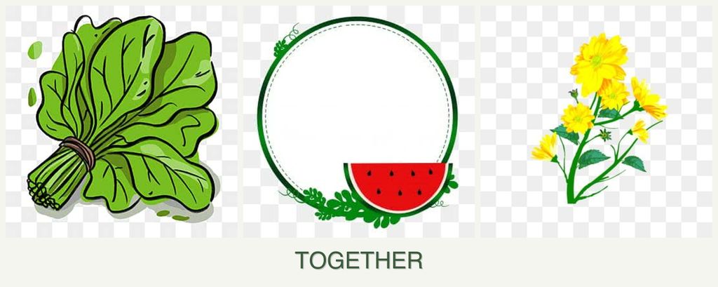 Can you plant spinach, watermelons and calendula together?