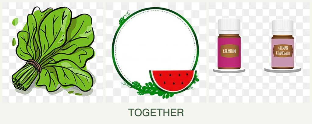 Can you plant spinach, watermelons and geraniums together?
