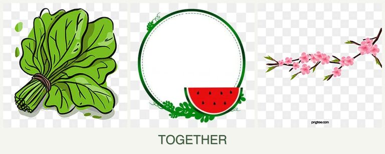 Can you plant spinach, watermelons and peaches together?