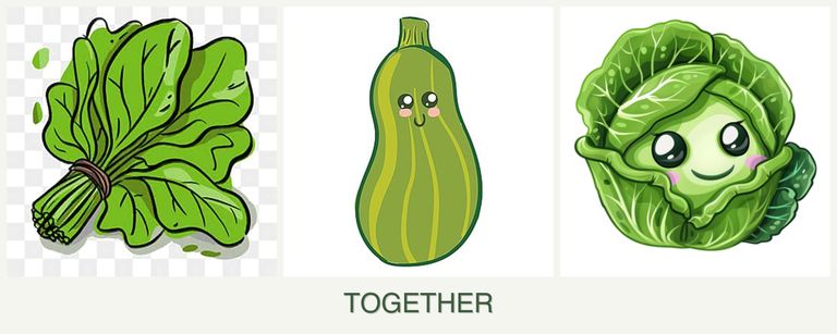 Can you plant spinach, zucchini and cabbage together?