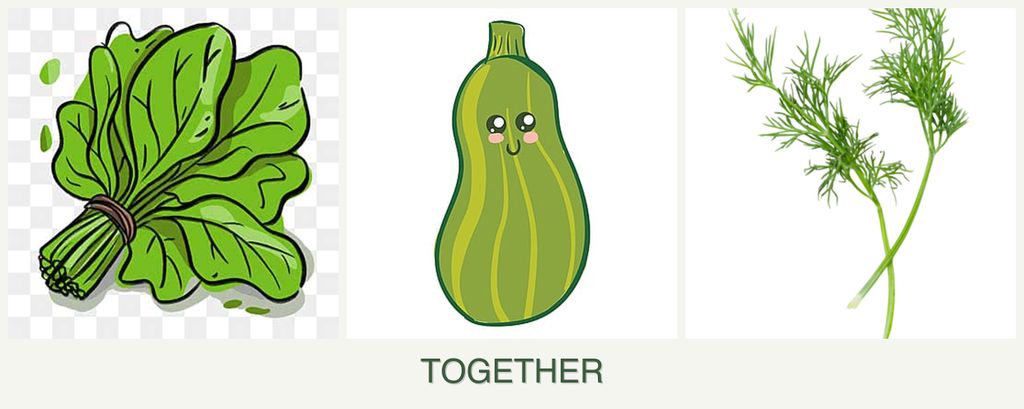 Can you plant spinach, zucchini and dill together?