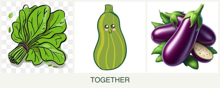 Can you plant spinach, zucchini and eggplant together?