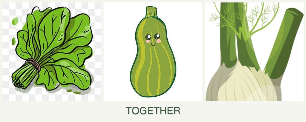 Can you plant spinach, zucchini and fennel together?