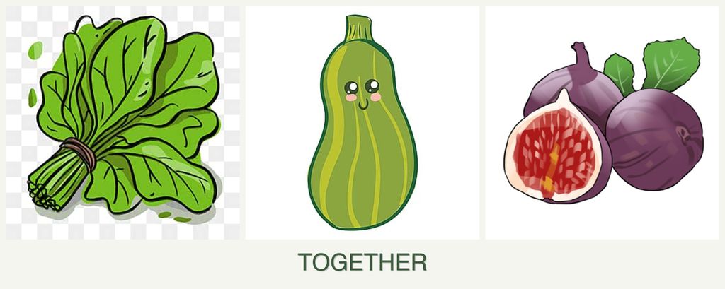 Can you plant spinach, zucchini and figs together?