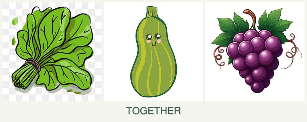 Can you plant spinach, zucchini and grapes together?