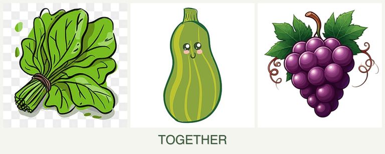 Can you plant spinach, zucchini and grapes together?