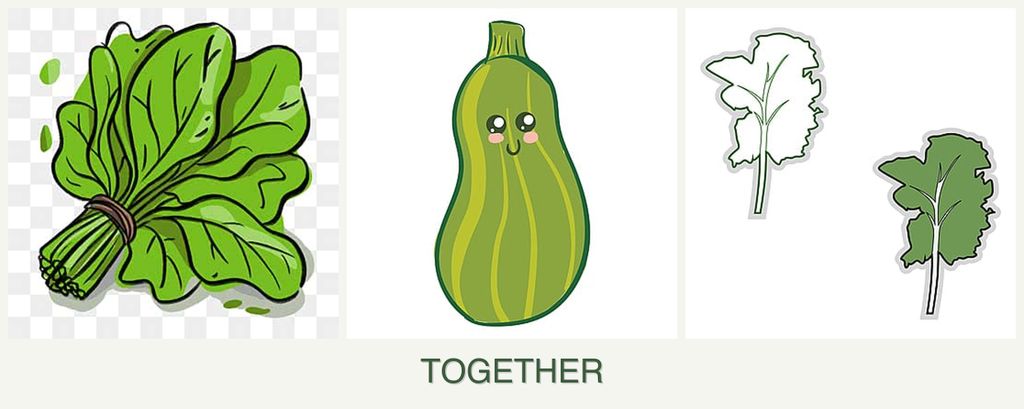 Can you plant spinach, zucchini and kale together?