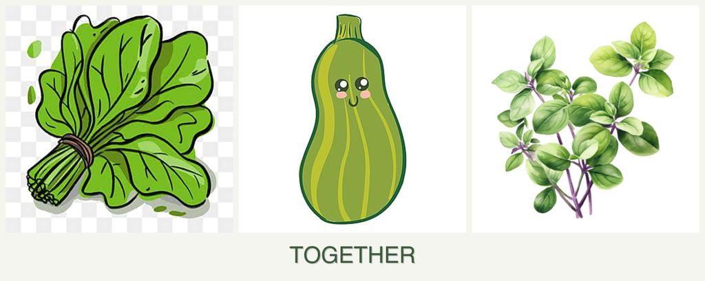 Can you plant spinach, zucchini and oregano together?