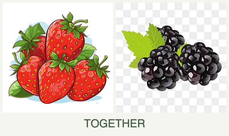 Can you plant strawberries and blackberries together?