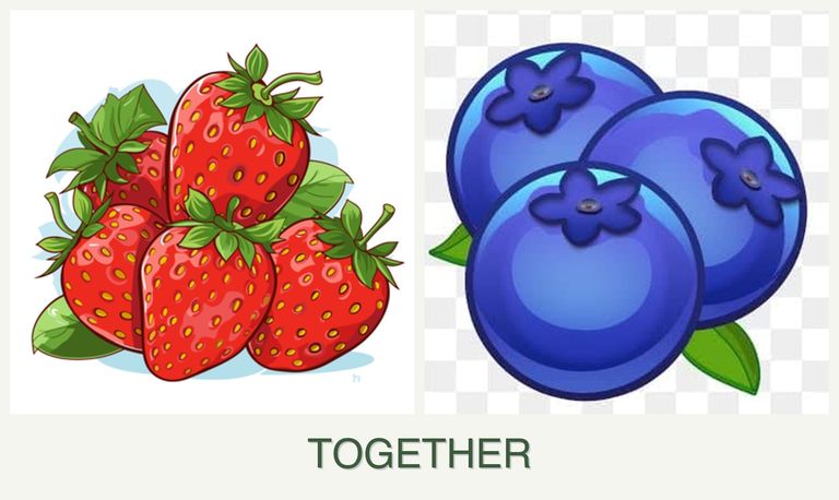 Can you plant strawberries and blueberries together?