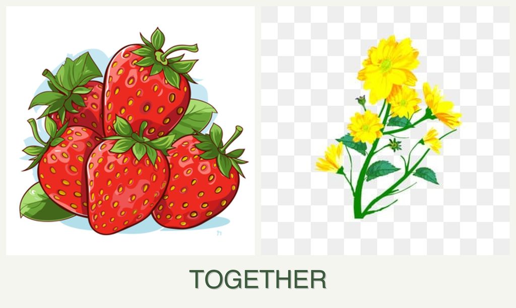 Can you plant strawberries and calendula together?