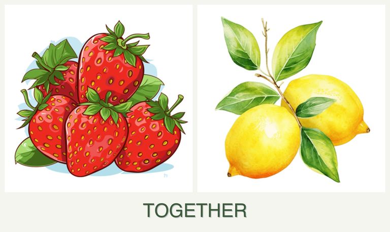 Can you plant strawberries and lemons together?