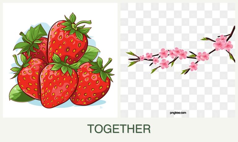 Can you plant strawberries and peaches together?