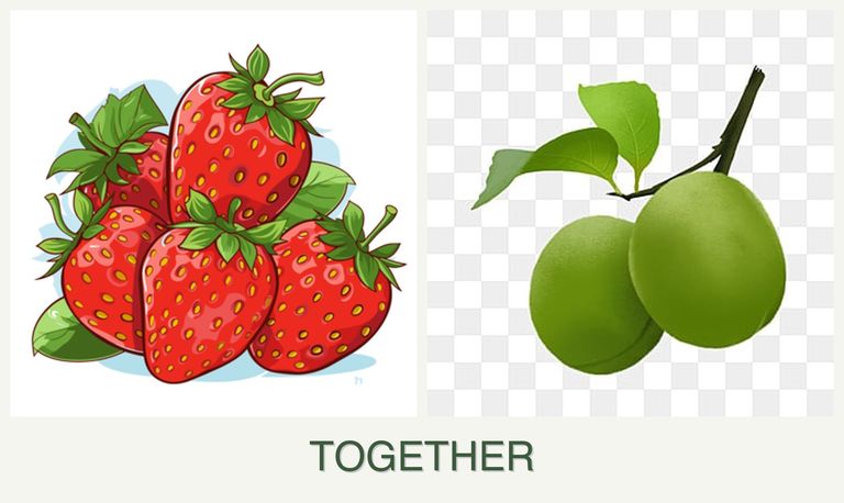 Can you plant strawberries and plums together?