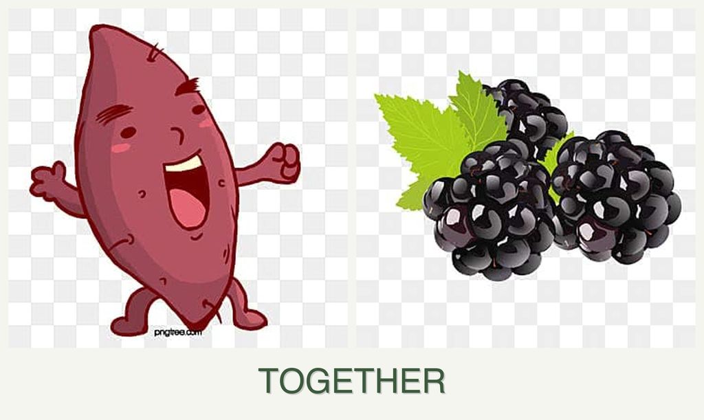 Can you plant sweet potatoes and blackberries together?