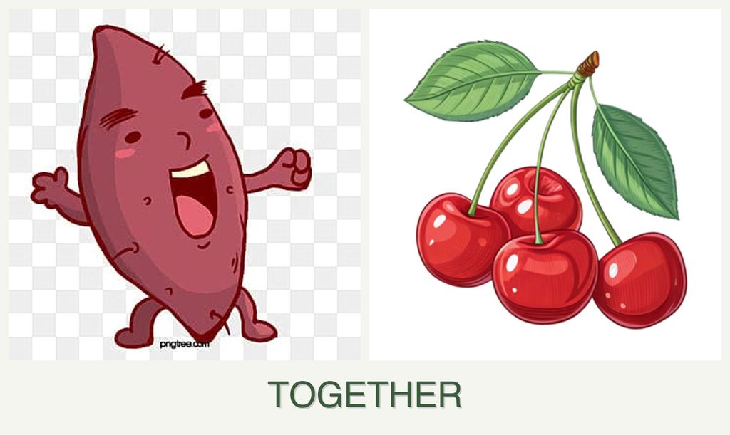 Can you plant sweet potatoes and cherries together?