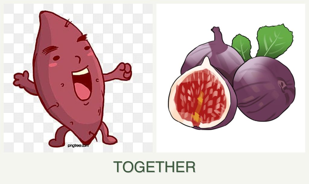 Can you plant sweet potatoes and figs together?