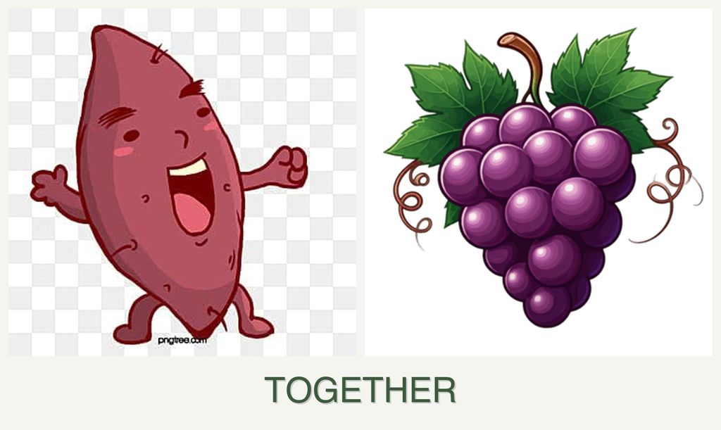 Can you plant sweet potatoes and grapes together?