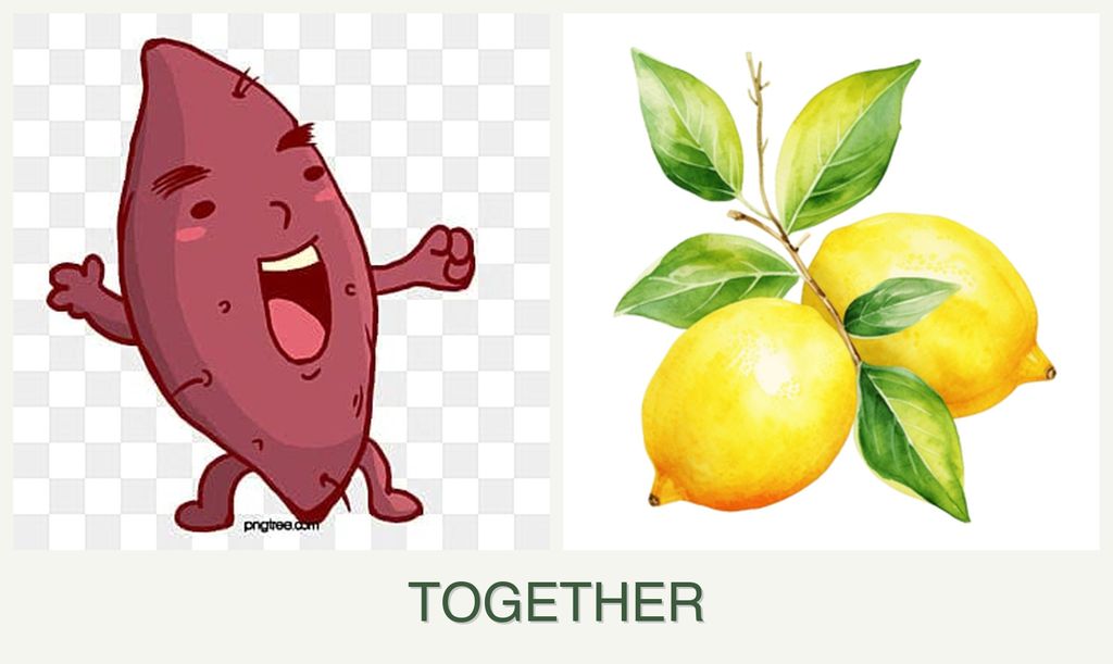 Can you plant sweet potatoes and lemons together?