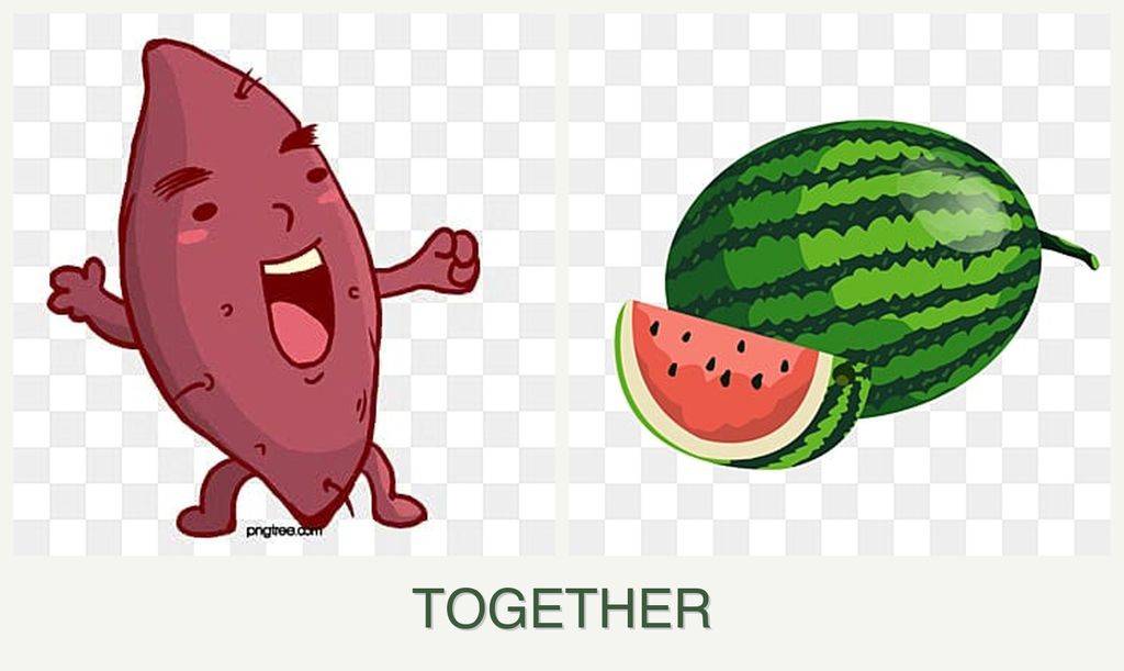 Can you plant sweet potatoes and melons together?