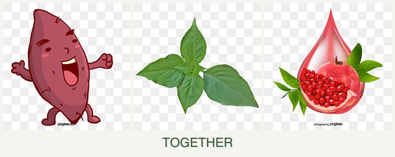 Can you plant sweet potatoes, basil and pomegranates together?