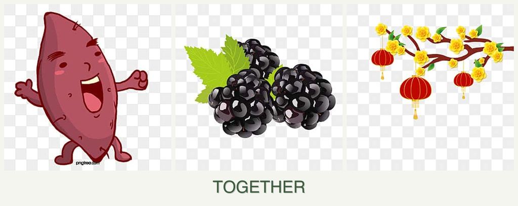 Can you plant sweet potatoes, blackberries and apricots together?