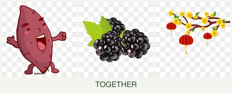 Can you plant sweet potatoes, blackberries and apricots together?