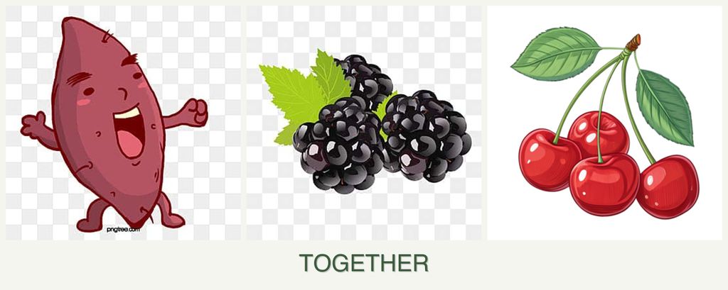Can you plant sweet potatoes, blackberries and cherries together?