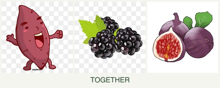 Can you plant sweet potatoes, blackberries and figs together?