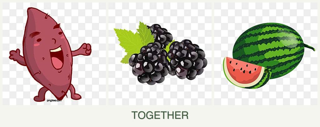 Can you plant sweet potatoes, blackberries and melons together?