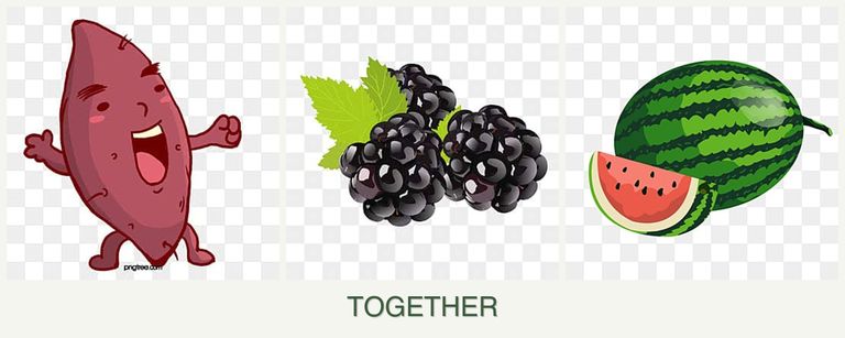 Can you plant sweet potatoes, blackberries and melons together?