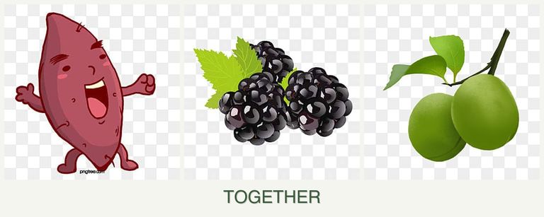 Can you plant sweet potatoes, blackberries and plums together?