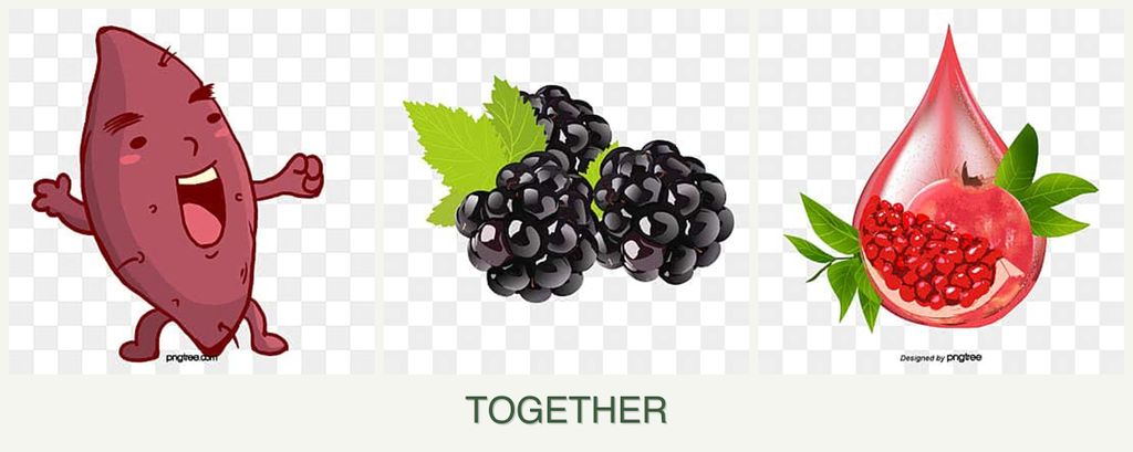 Can you plant sweet potatoes, blackberries and pomegranates together?