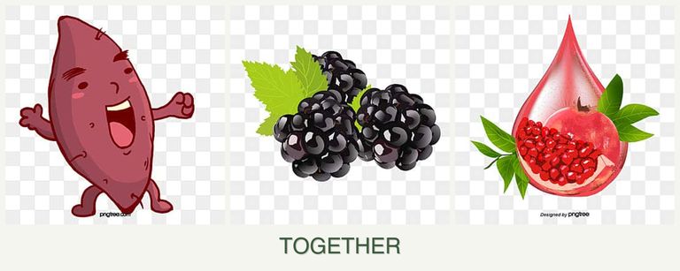 Can you plant sweet potatoes, blackberries and pomegranates together?