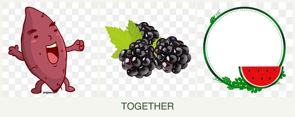 Can you plant sweet potatoes, blackberries and watermelons together?