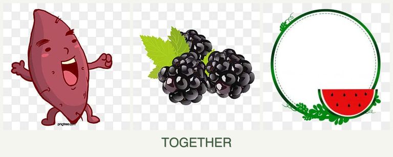 Can you plant sweet potatoes, blackberries and watermelons together?