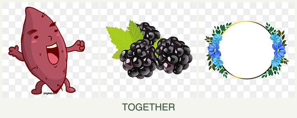 Can you plant sweet potatoes, blackberries and zinnias together?