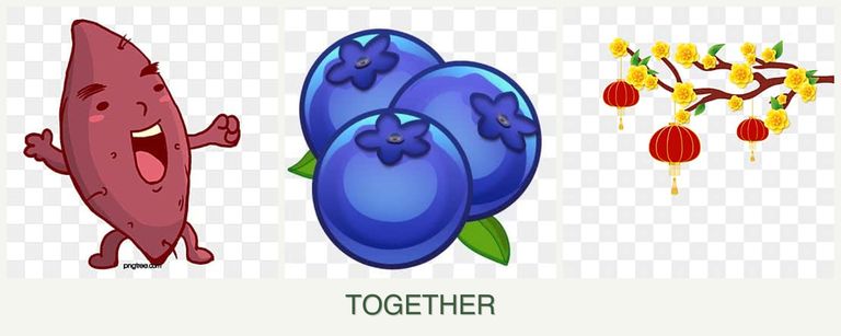 Can you plant sweet potatoes, blueberries and apricots together?
