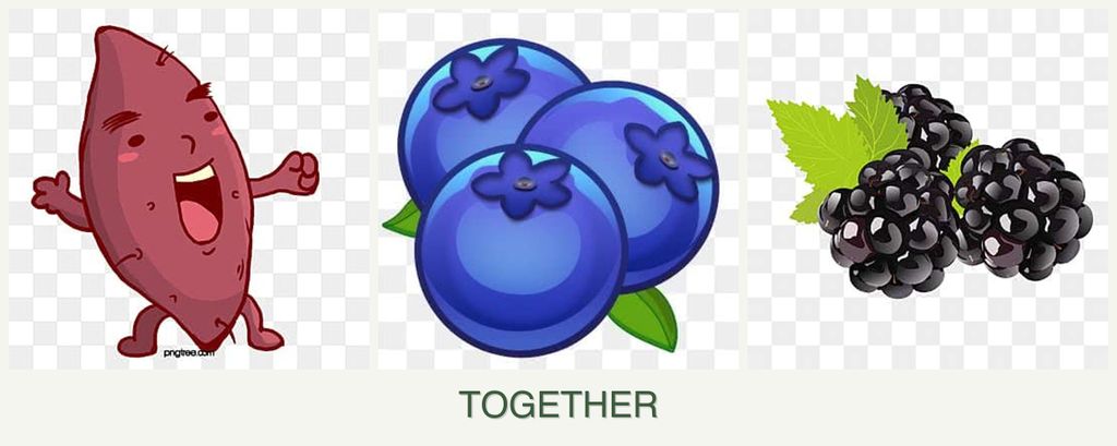 Can you plant sweet potatoes, blueberries and blackberries together?
