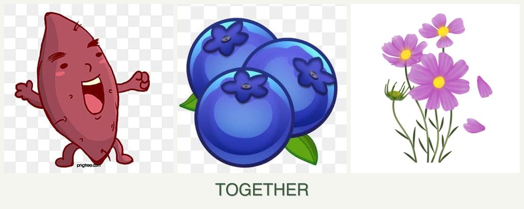 Can you plant sweet potatoes, blueberries and cosmos together?
