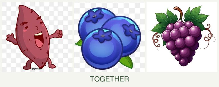 Can you plant sweet potatoes, blueberries and grapes together?