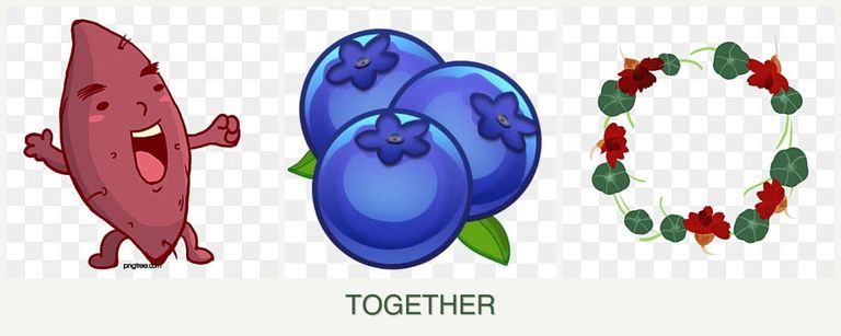 Can you plant sweet potatoes, blueberries and nasturtiums together?