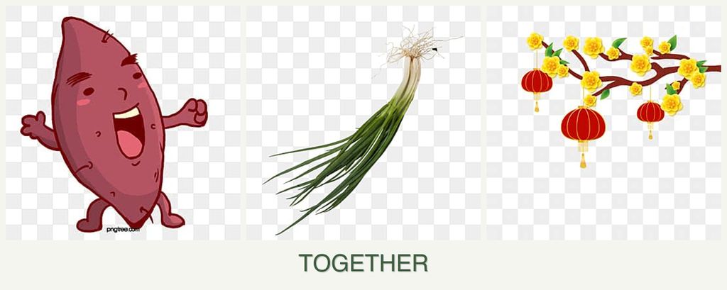 Can you plant sweet potatoes, chives and apricots together?